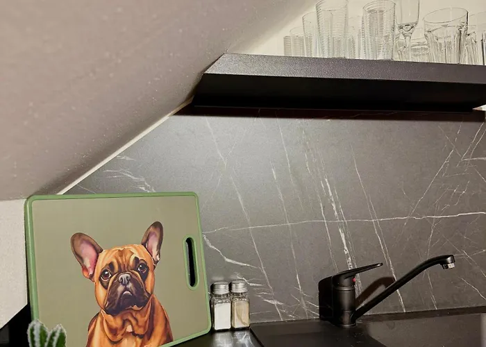 Prazska - 아파트 *